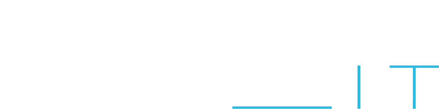Nichterlein IT Logo | IT-Sicherheitsberatung für Unternehmen in Hessen – Cybersicherheit Rhein-Main